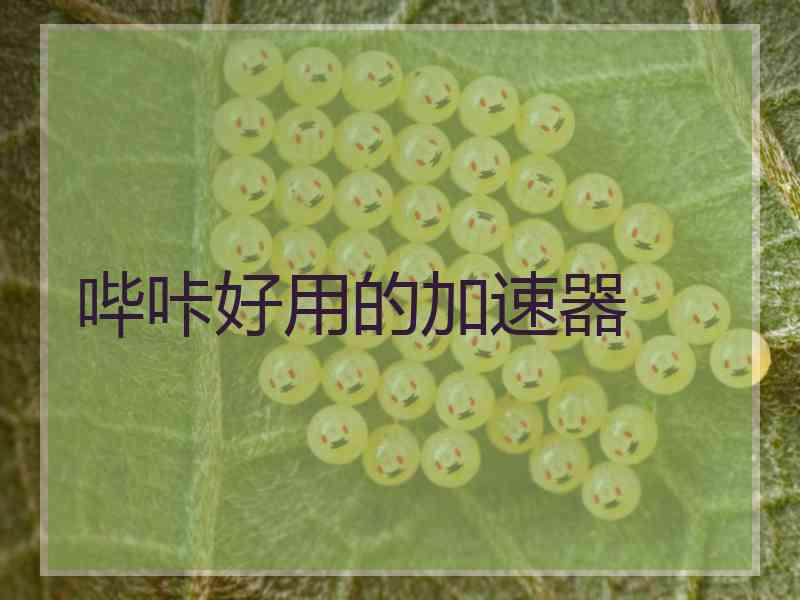 哔咔好用的加速器