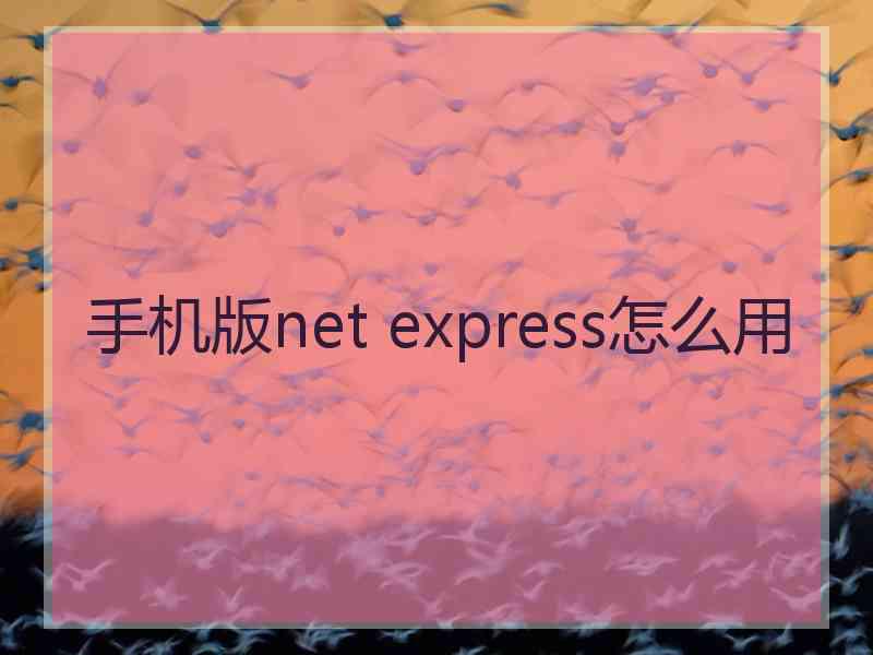 手机版net express怎么用