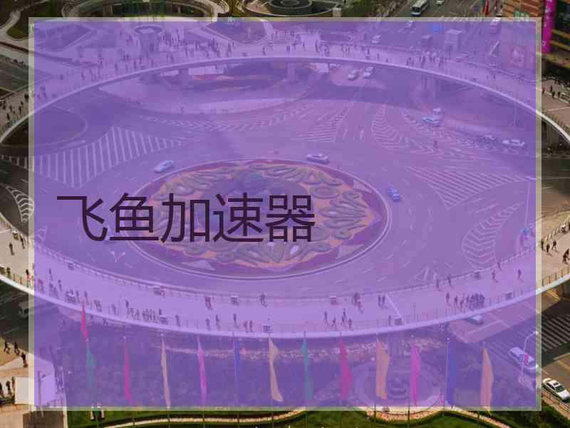 飞鱼加速器