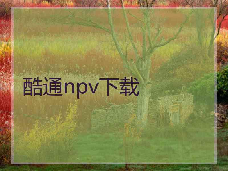 酷通npv下载