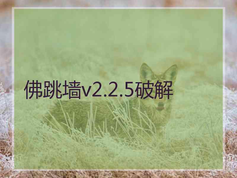 佛跳墙v2.2.5破解