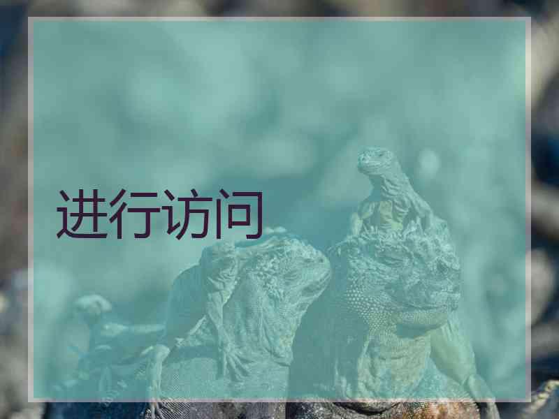 进行访问