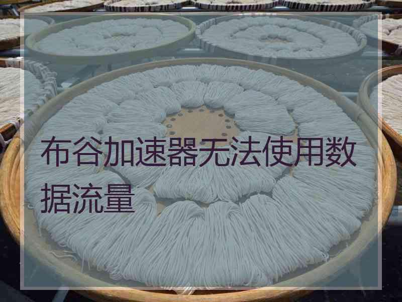布谷加速器无法使用数据流量