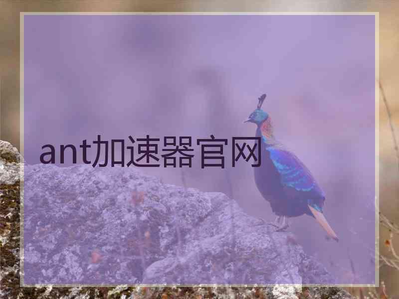 ant加速器官网