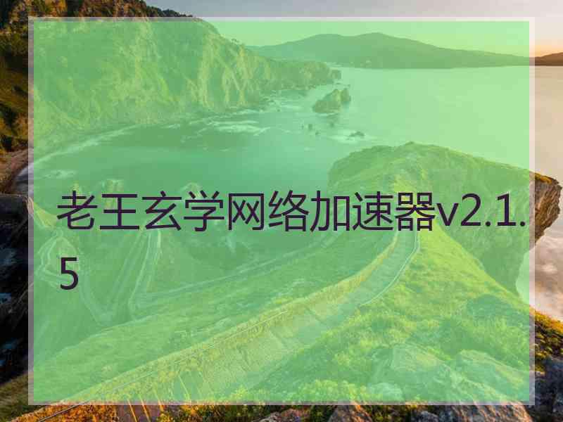 老王玄学网络加速器v2.1.5