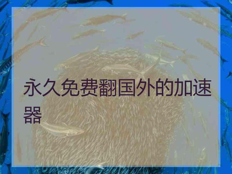 永久免费翻国外的加速器