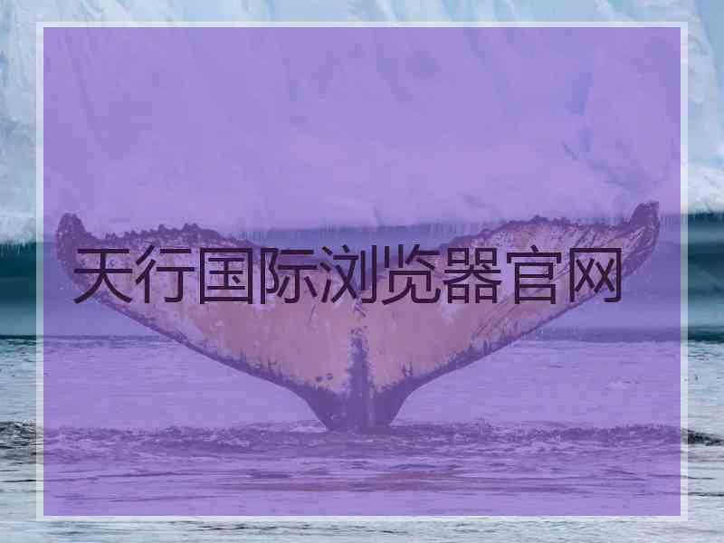 天行国际浏览器官网