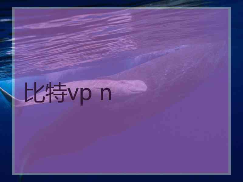 比特vp n