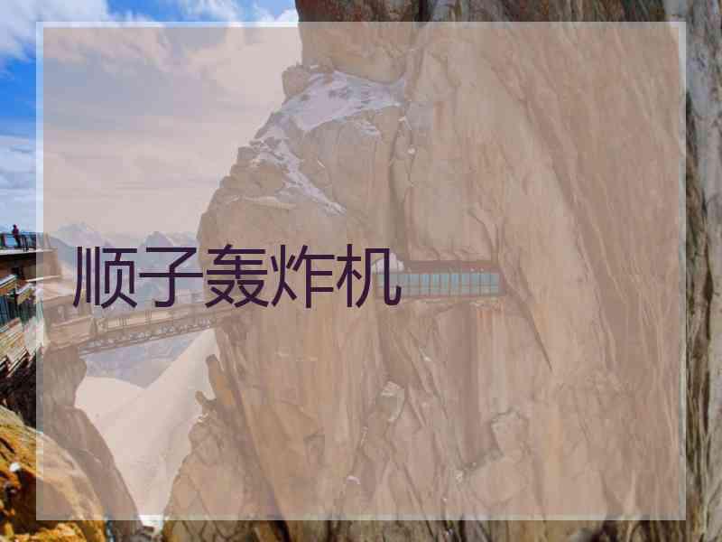 顺子轰炸机