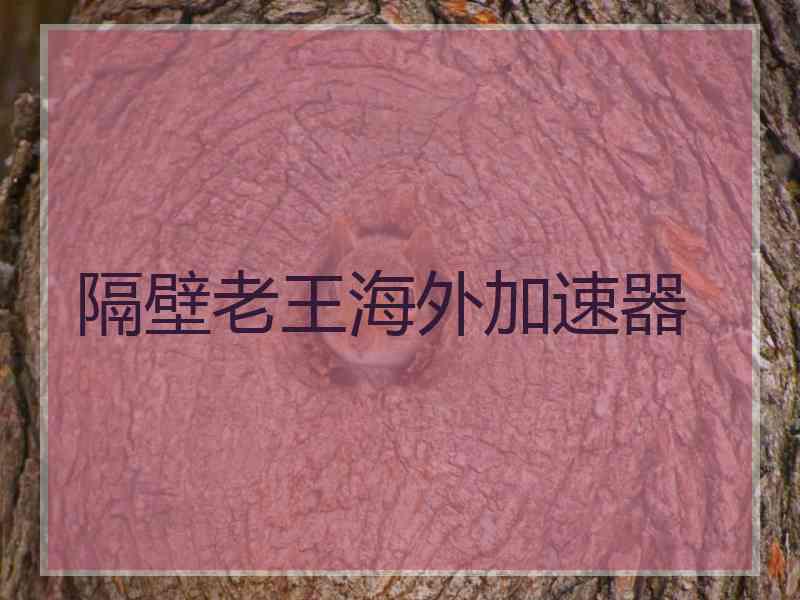 隔壁老王海外加速器