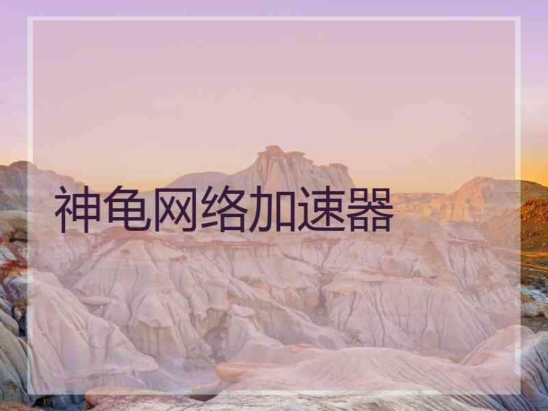 神龟网络加速器