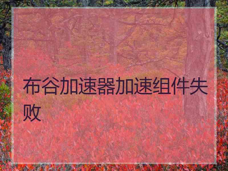 布谷加速器加速组件失败