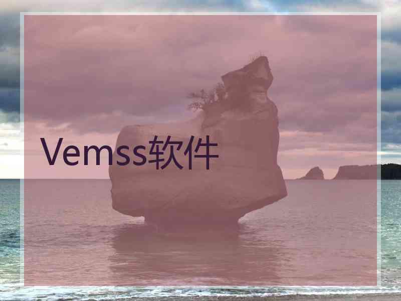 Vemss软件