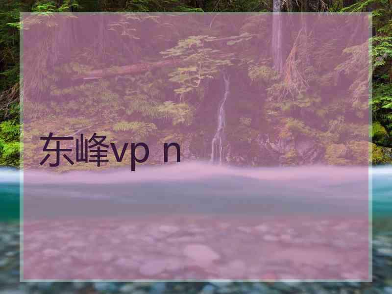 东峰vp n