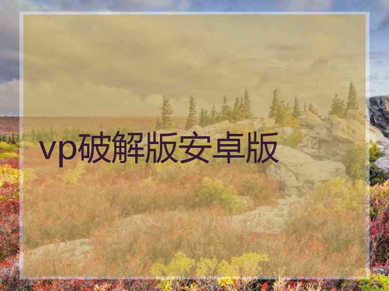 vp破解版安卓版