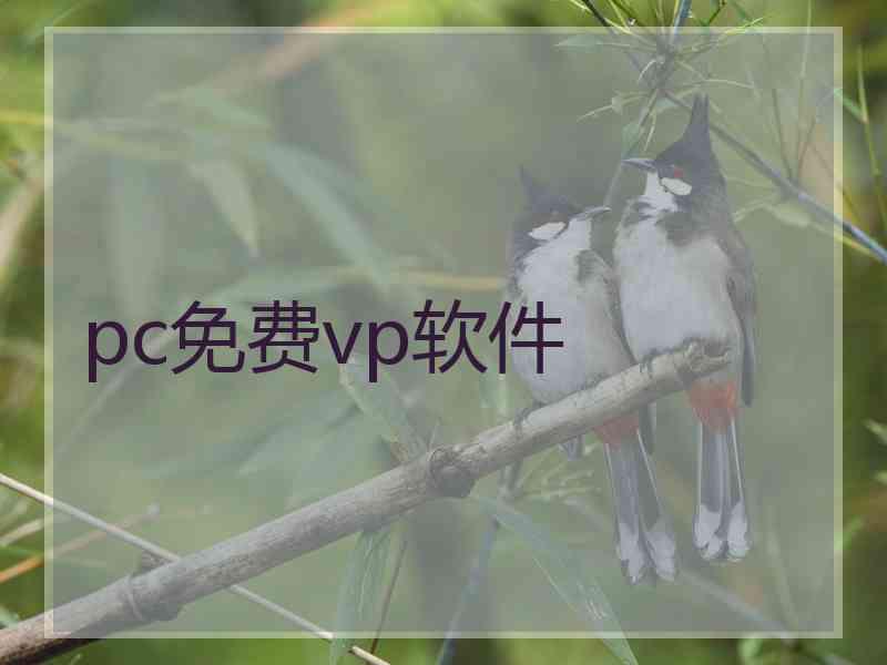 pc免费vp软件