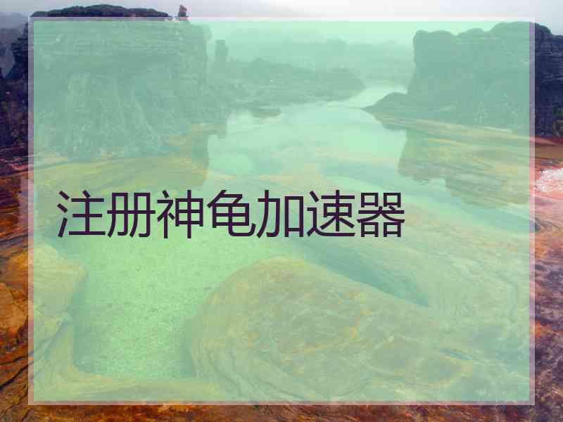 注册神龟加速器