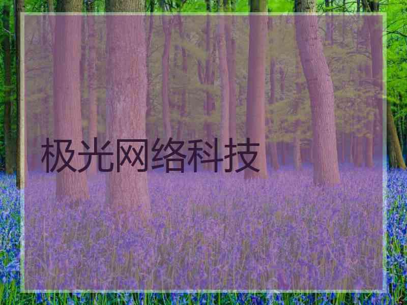 极光网络科技
