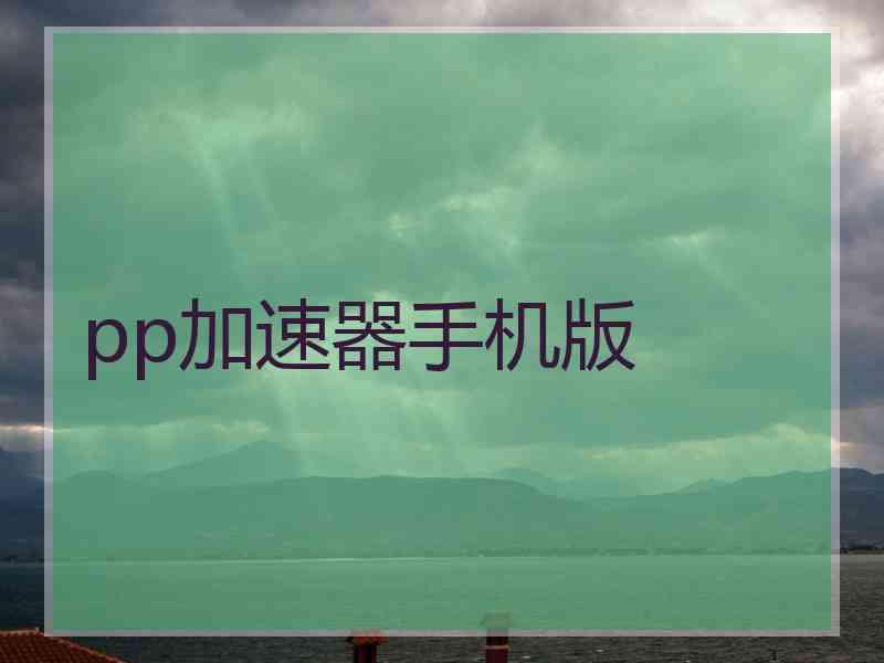 pp加速器手机版