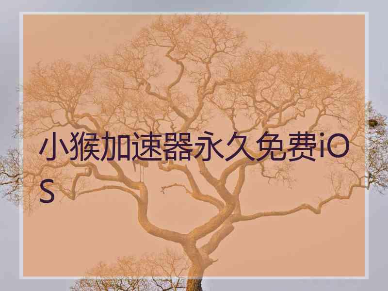 小猴加速器永久免费iOS