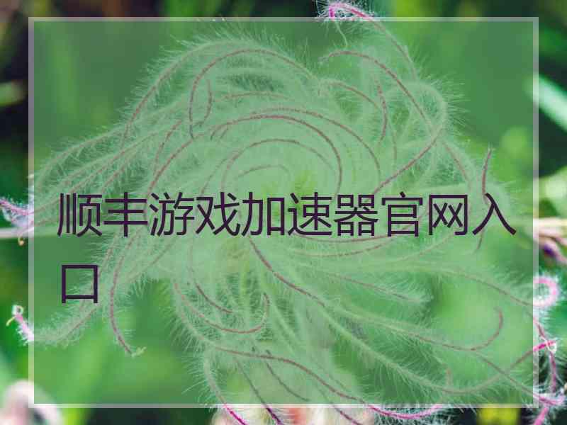 顺丰游戏加速器官网入口