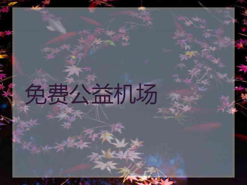 免费公益机场