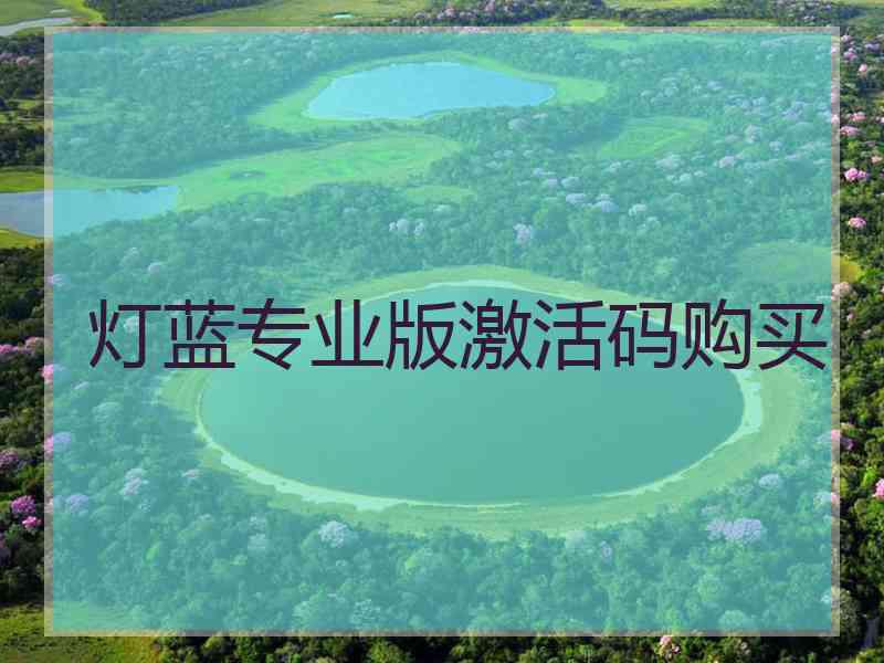 灯蓝专业版激活码购买