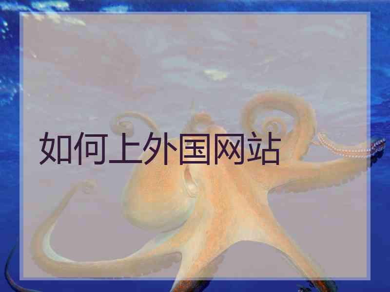 如何上外国网站