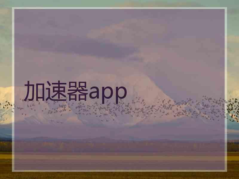 加速器app