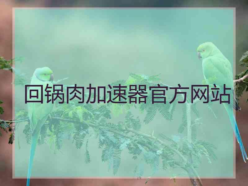 回锅肉加速器官方网站