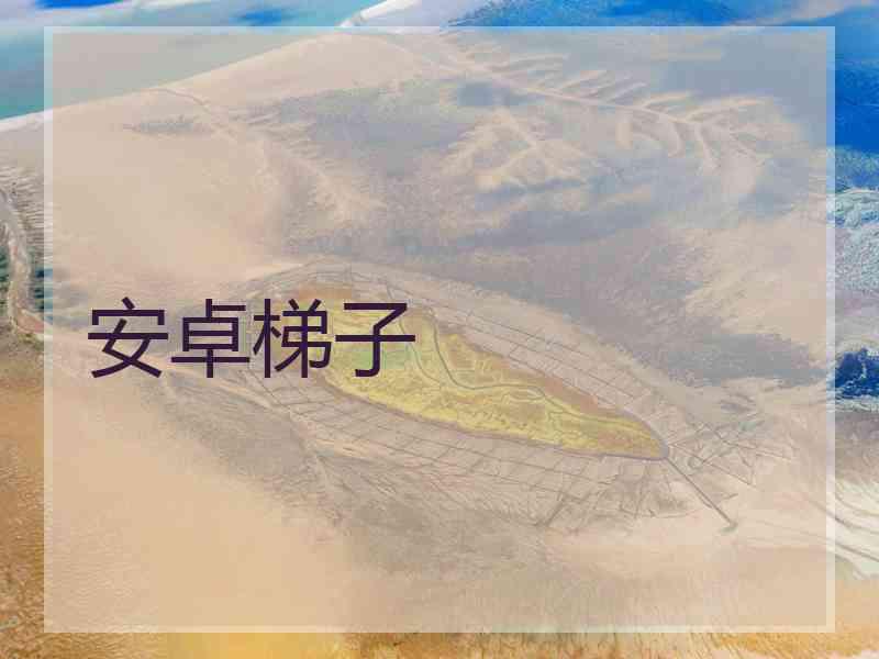 安卓梯子