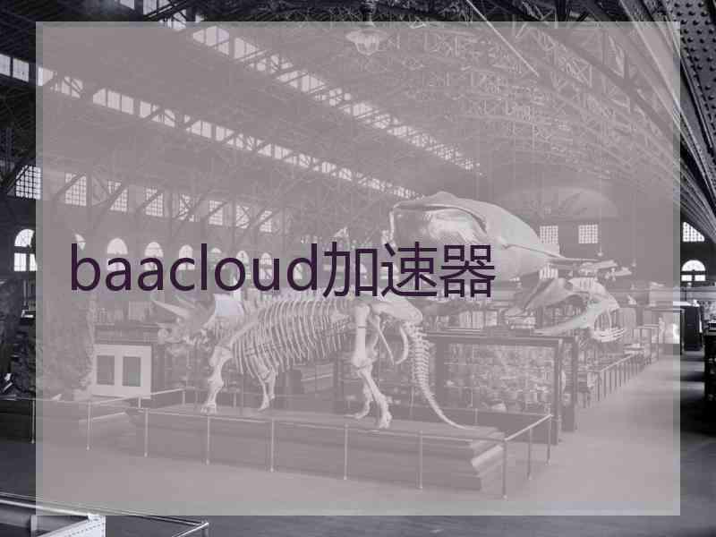 baacloud加速器