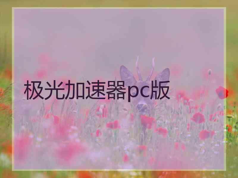 极光加速器pc版