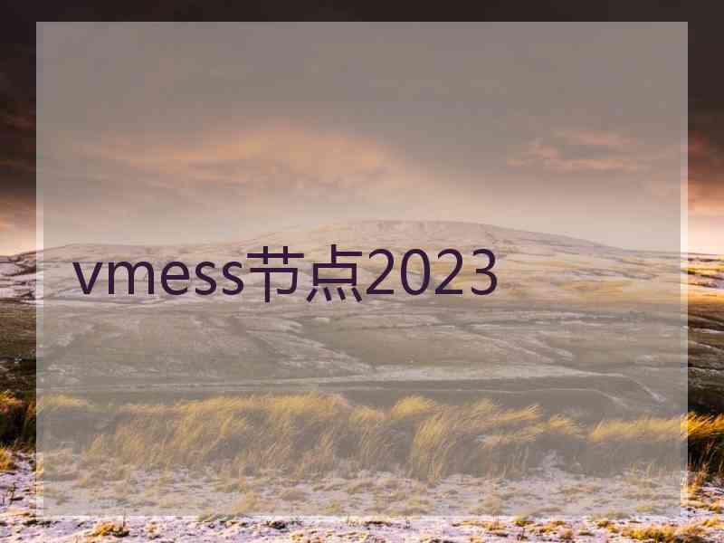 vmess节点2023