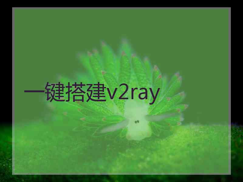一键搭建v2ray