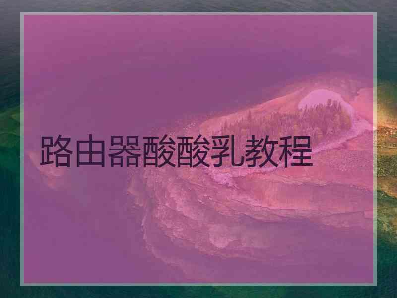 路由器酸酸乳教程