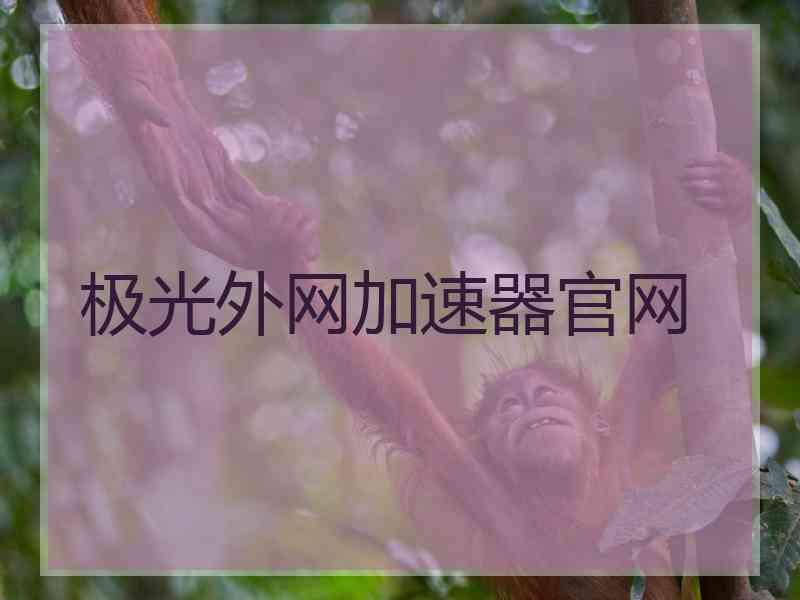 极光外网加速器官网