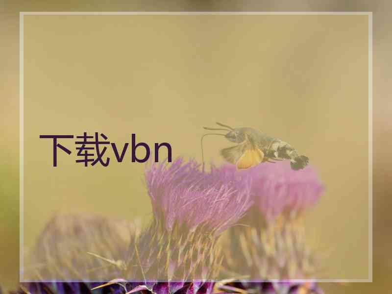 下载vbn