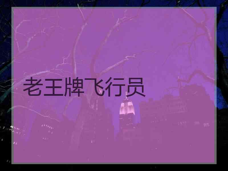 老王牌飞行员