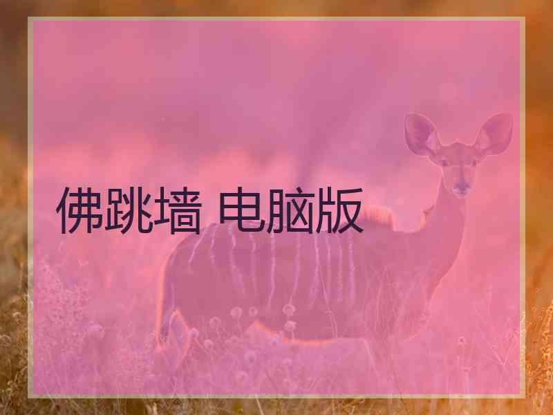 佛跳墙 电脑版