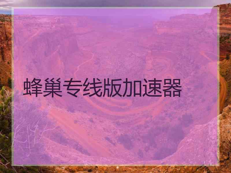 蜂巢专线版加速器