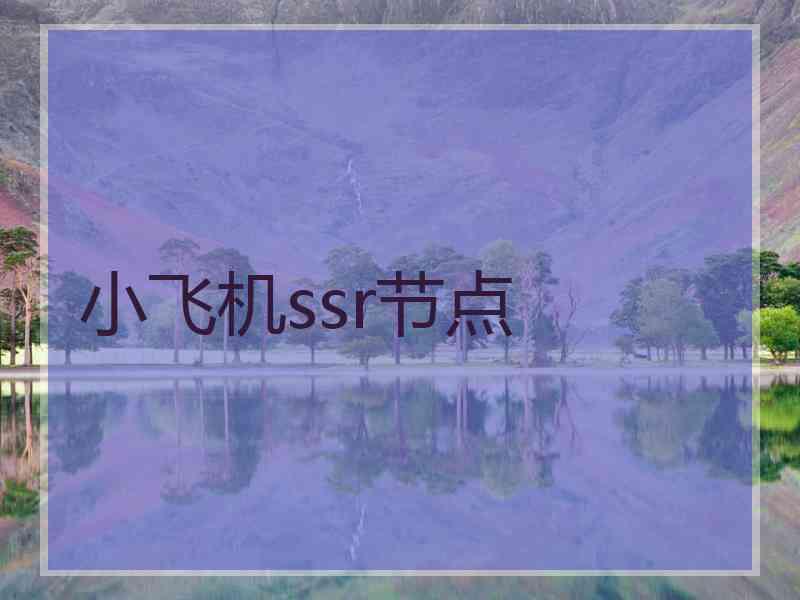 小飞机ssr节点