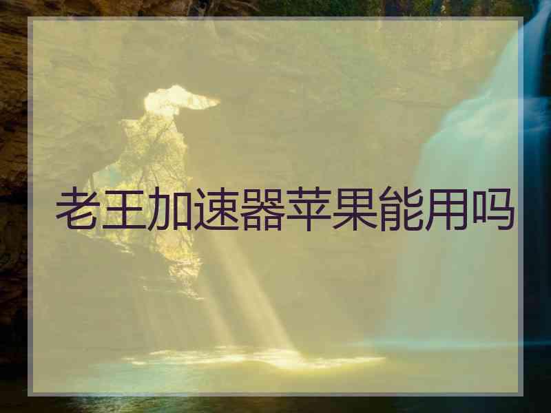 老王加速器苹果能用吗
