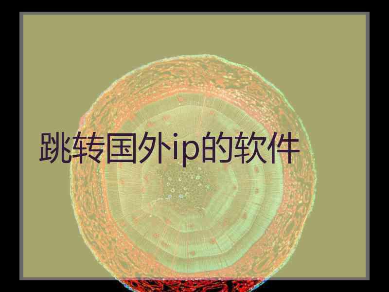跳转国外ip的软件