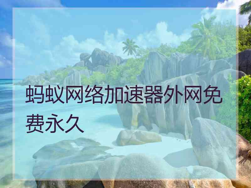 蚂蚁网络加速器外网免费永久