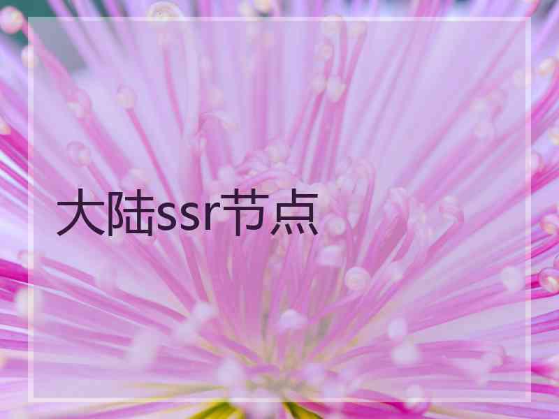 大陆ssr节点
