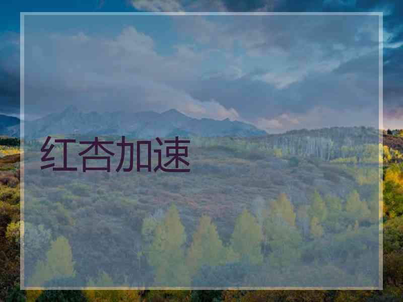 红杏加速
