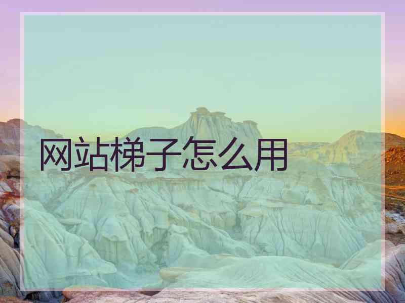 网站梯子怎么用