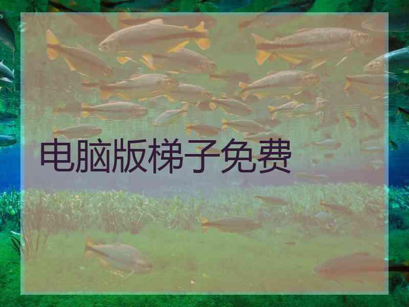 电脑版梯子免费