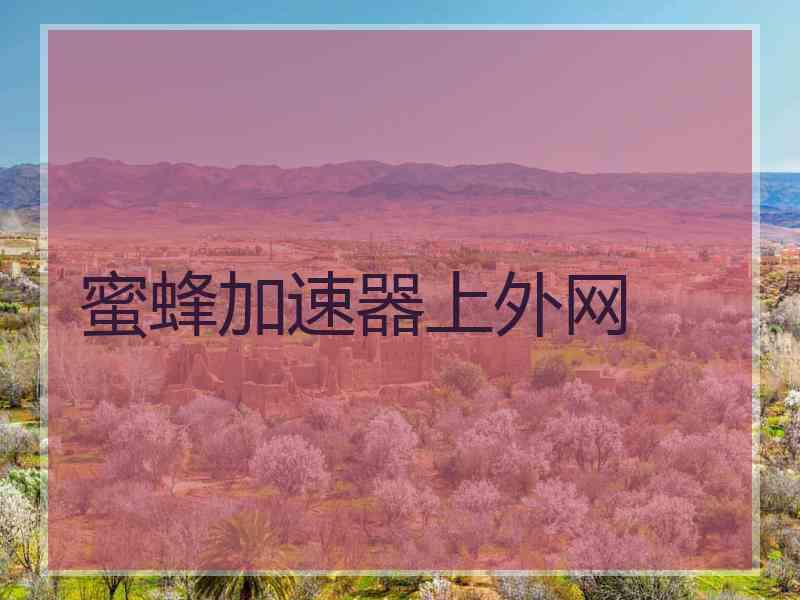 蜜蜂加速器上外网